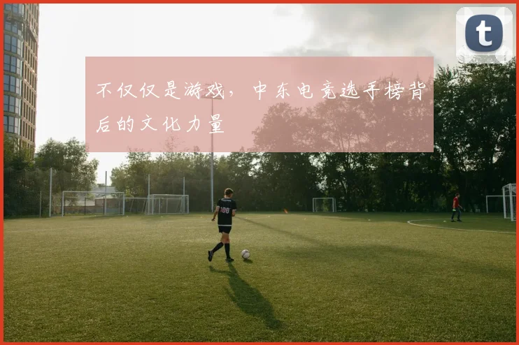 不仅仅是游戏,中东电竞选手榜背后的文化力量