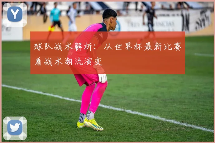 球队战术解析：从世界杯最新比赛看战术潮流演变