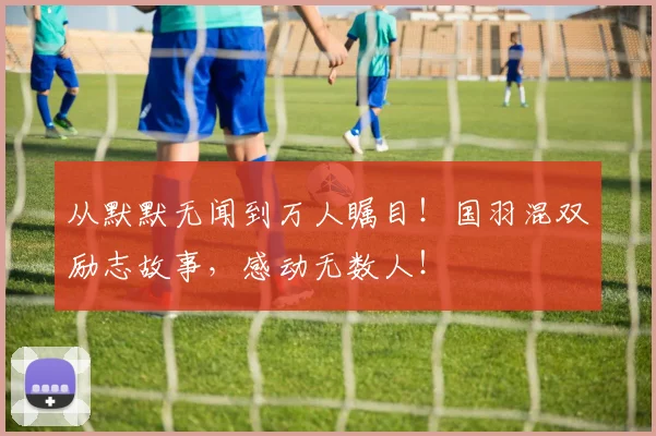 从默默无闻到万人瞩目！国羽混双励志故事，感动无数人！