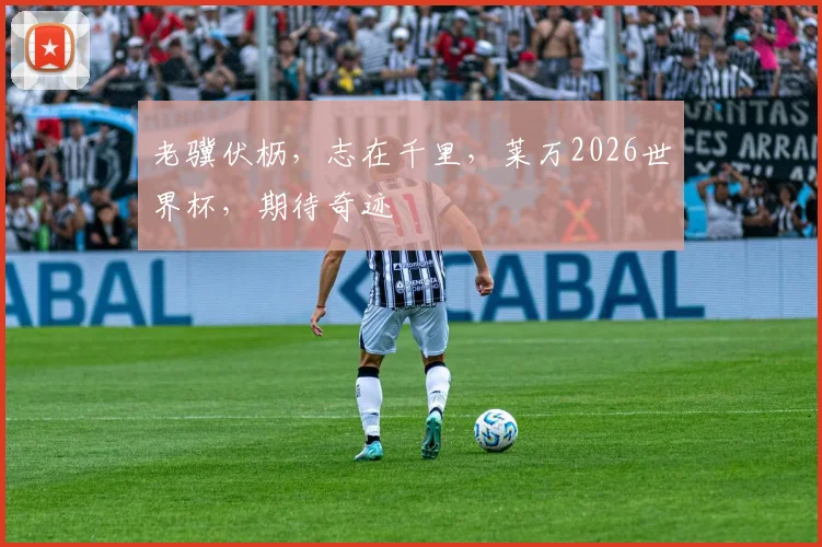 老骥伏枥,志在千里,莱万2026世界杯,期待奇迹